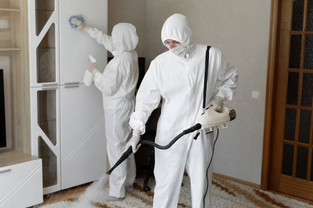 Affordable Sewage Cleanup solutions in Linden, MI
